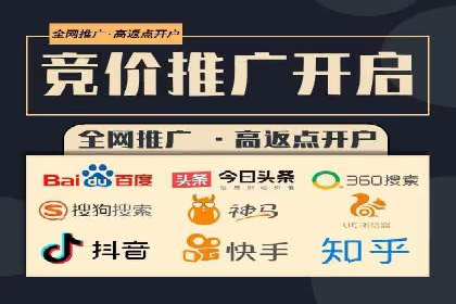 百度推广实战技巧：案例详解